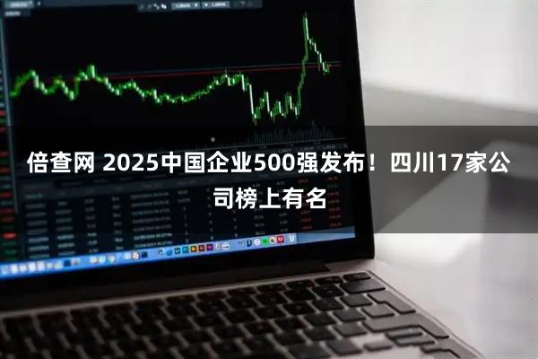 倍查网 2025中国企业500强发布！四川17家公司榜上有名
