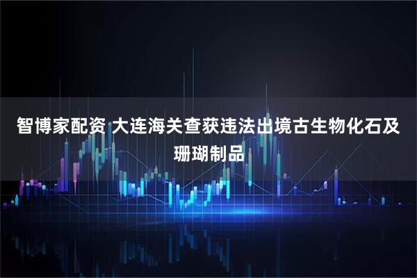 智博家配资 大连海关查获违法出境古生物化石及珊瑚制品